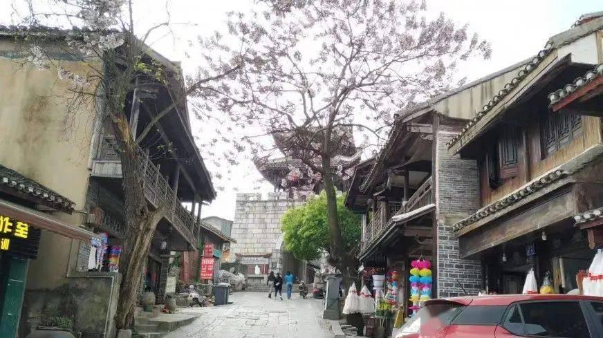 救援受困的萌兔